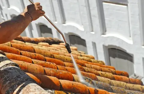 Nettoyage de toitures - Poissy